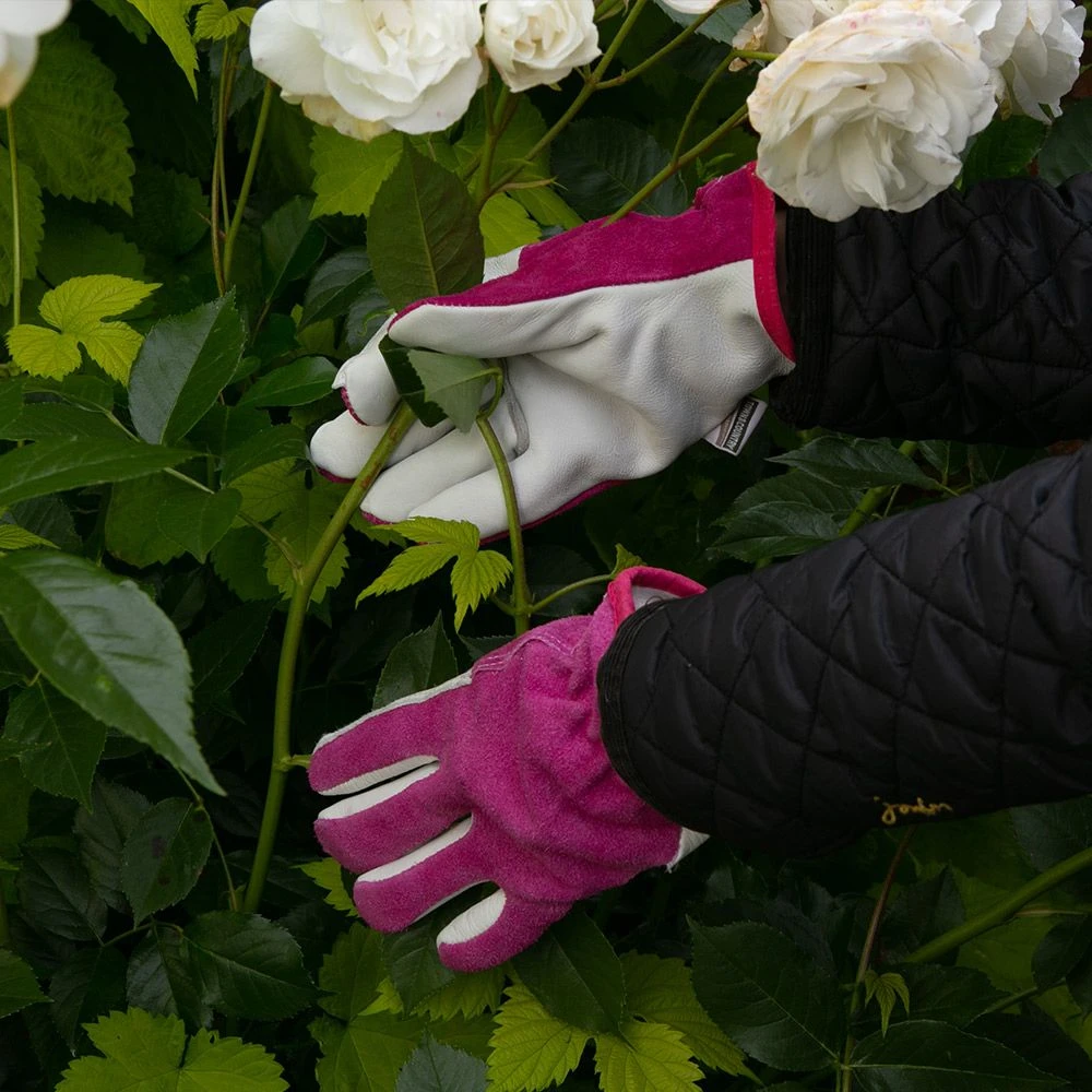 Deluxe Leather & Suede Medium 3 Deluxe Leather & Suede Medium