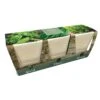 Windowsill Herb Pots -Happy Gardenly 00143616 DP9620Windowsill20Herb20Trio