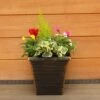 Autumn Cheerful Planter 28cm - Squire's Exclusive -Happy Gardenly 1008457420 20Autumn20Cheerful20Planter2028cm IMG 7958