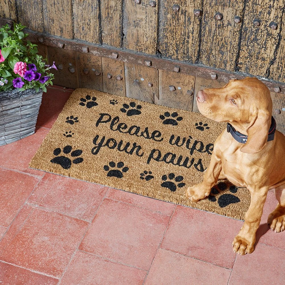 Wipe Your Paws Mat - 75cm X 45cm 3 Wipe Your Paws Mat - 75cm X 45cm