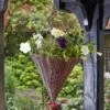 Chestnut Faux Rattan Hanging Cone 14 Inches 1 Chestnut Faux Rattan Hanging Cone 14 Inches -Happy Gardenly 10090833 6020060 Chestnut Faux Rattan Cone 14inch Day insitu