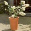 Tall Flowerpot