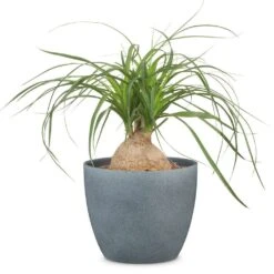 Dark Stone Effect Indoor Pot Cover 19cm