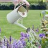Watering Can 4.5 Litre - Cream 2 Watering Can 4.5 Litre - Cream -Happy Gardenly 10199268 6514005 Watering Can 4.5L Cream Insitu