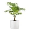Ripple Effect Soft White Indoor Pot Cover 19cm -Happy Gardenly 10209477 S 073 828 33 Panna with Plant