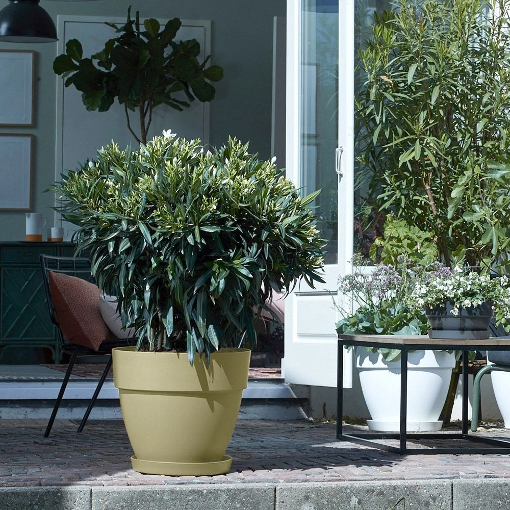 Elho Vibia Campana Round - Sage Green 47cm 4 Elho Vibia Campana Round - Sage Green 47cm - Image 2