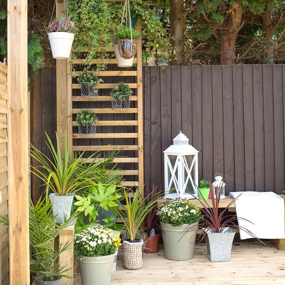 Direct - Dining Pergola 5 Direct - Dining Pergola - Image 3