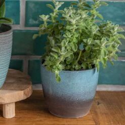 Ocean Blue Indoor Pot Cover 19cm