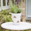Bumble Pot - 31cm