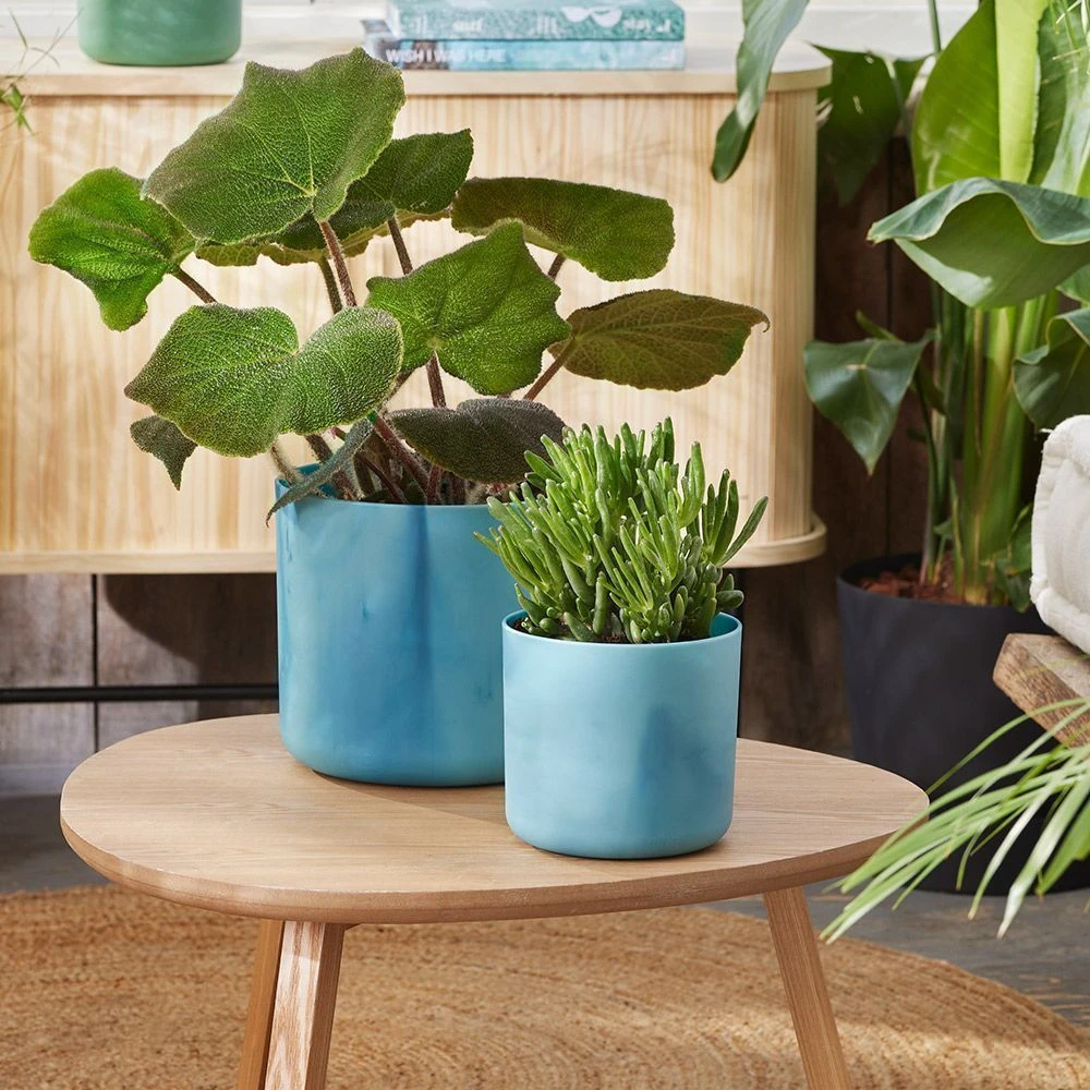 Elho - Ocean Collection - Atlantic Blue - Round 22cm 5 Elho - Ocean Collection - Atlantic Blue - Round 22cm - Image 3