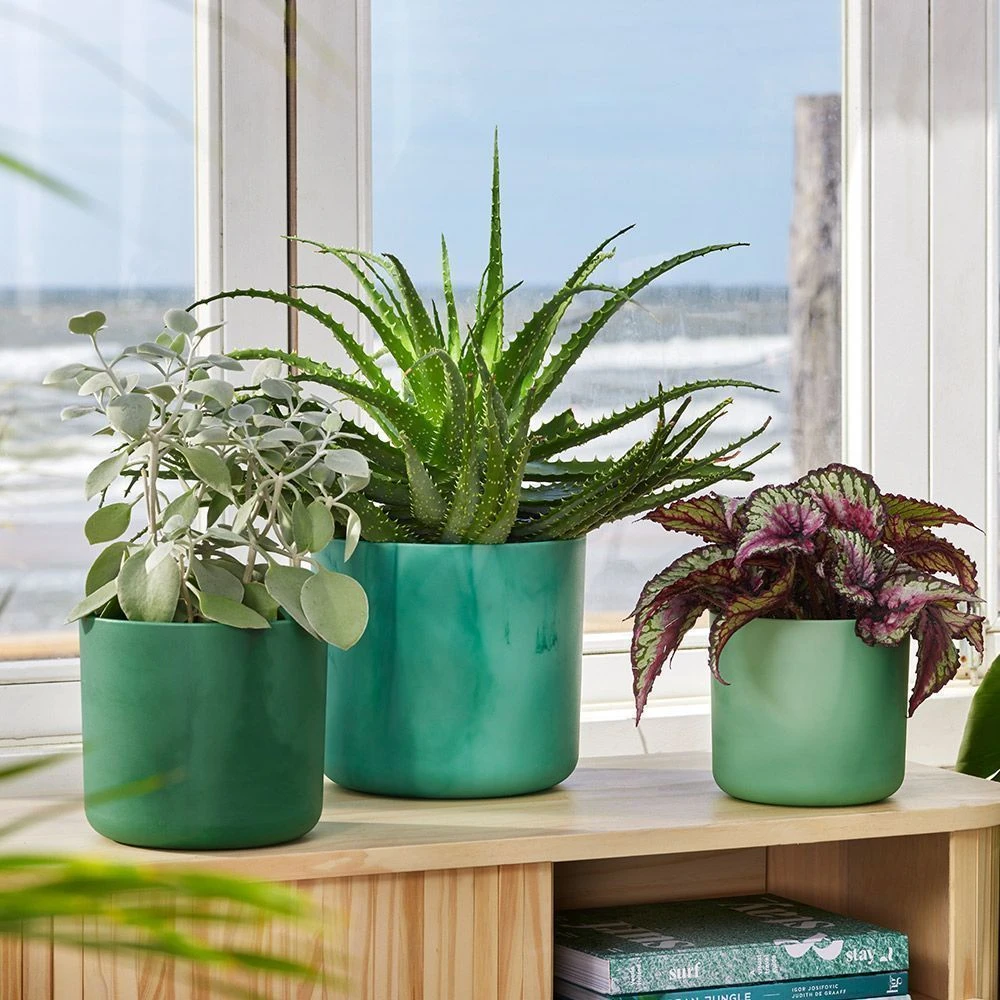 Elho - Ocean Collection - Pacific Green - Round 22cm 4 Elho - Ocean Collection - Pacific Green - Round 22cm - Image 2