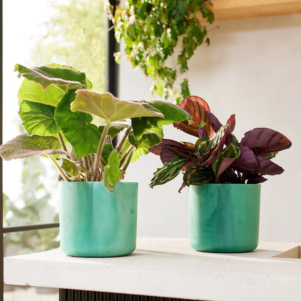 Elho - Ocean Collection - Pacific Green - Round 22cm 5 Elho - Ocean Collection - Pacific Green - Round 22cm - Image 3