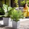 Elho Greensense Aqua Care Planter - Light Concrete 38cm 2 Elho Greensense Aqua Care Planter - Light Concrete 38cm -Happy Gardenly 10276439 10276436 3112903031100 8711904497422 greensense aqua care square.i2