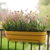 Elho Vibia Campana All In 1 Trough - Honey Yellow 70cm -Happy Gardenly 10276455 10276448 vibia campana all in 1 honey yellow.i2