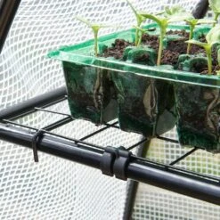 Gro-Sure Visiroot 12 Tray Growhouse -Happy Gardenly 10276854 Gro surevisiroot12traygrowhouse westland 70200505 0080 a lifestyle