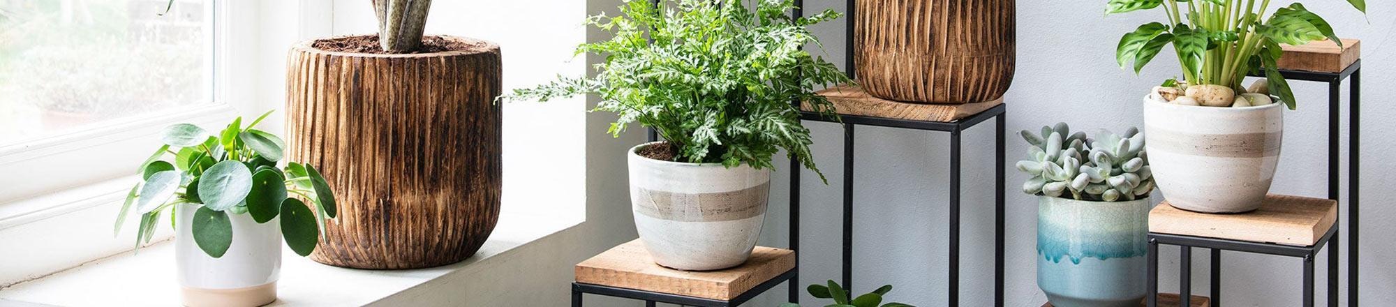 Happy Gardenly -Happy Gardenly Kamerplanten op plantentafels2